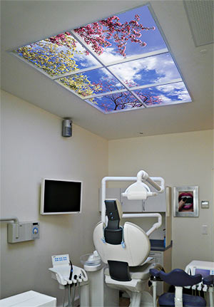 A Dental Surgery Office