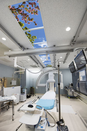 Showa University Hospital - Angiography