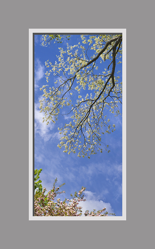 Click to go back.