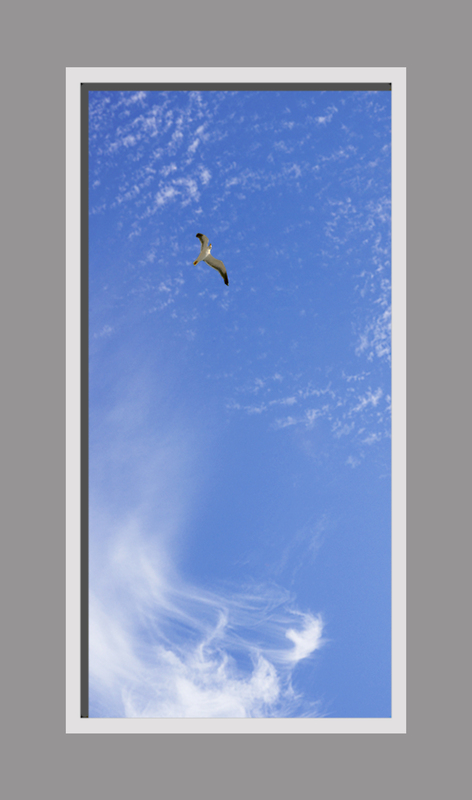 Click to go back.