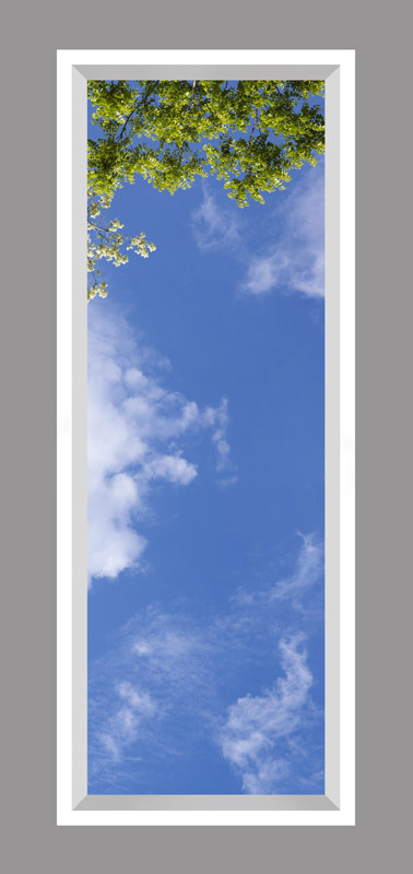 Click to go back.