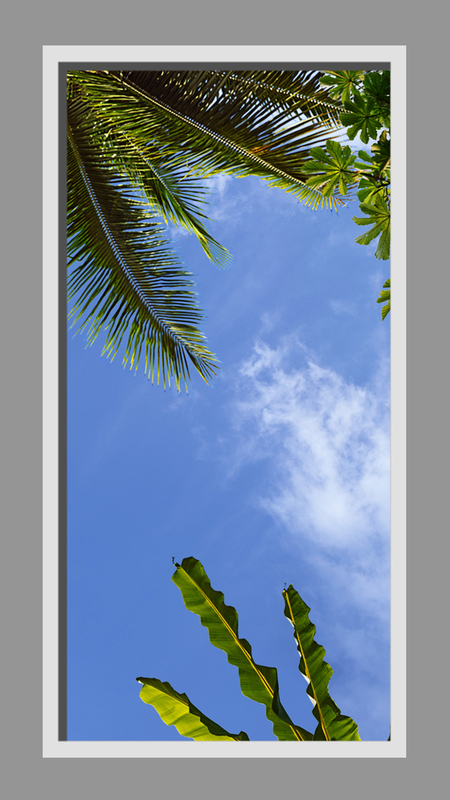 Click to go back.