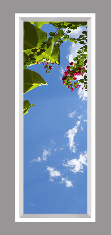 Click to go back.