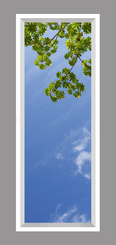 Click to go back.