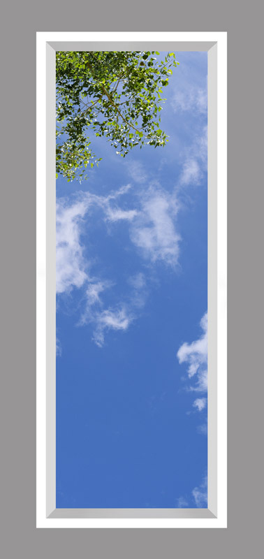 Click to go back.