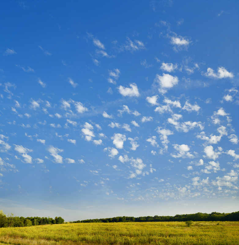 Click to go back.