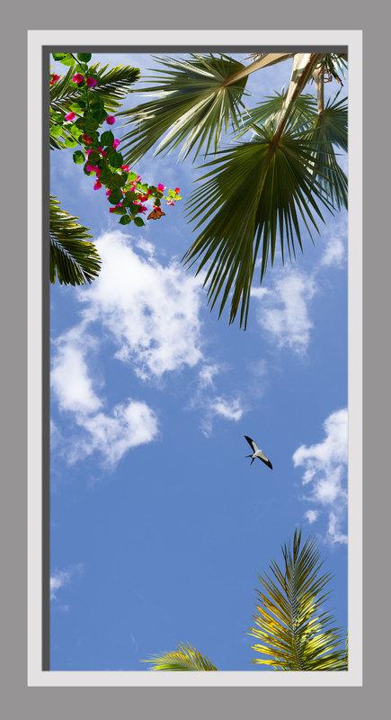 Click to go back.