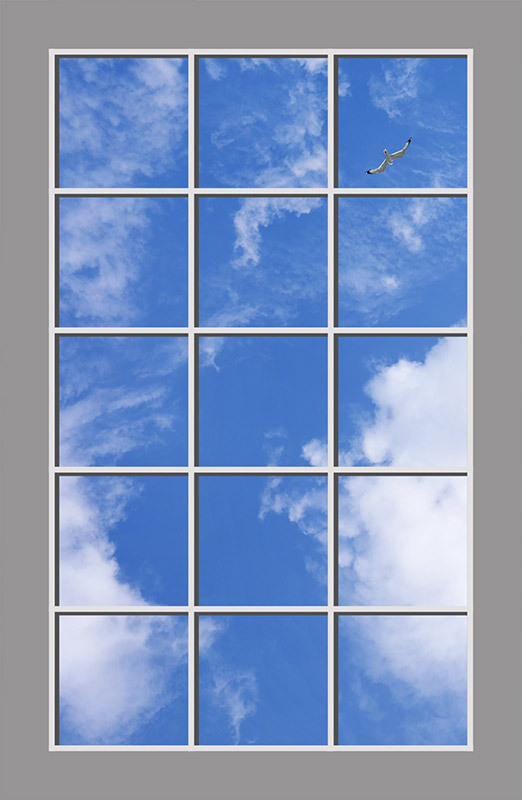 Click to go back.