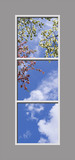 Ceiling Mural 6am_2x6md08