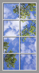 Ceiling Mural 6bc_4x8md01
