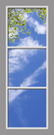 Ceiling Mural 6bn_2x6md