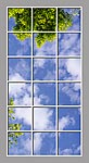 Ceiling Mural 6bq_6x12md