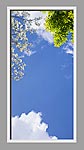 Ceiling Design 6bx_2x4md