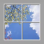 Ceiling Design 6bx_4x4md01