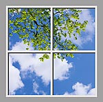 Ceiling Design 6by_4x4md