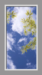 Ceiling Mural 6cd_24mdvr