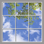 Ceiling Mural 6cd_6x6md
