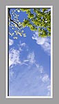 Ceiling Mural 6ce_2x4md