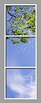 Ceiling Mural 6cl_2x6md