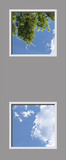 Ceiling Mural 6ej_24mdvr_2-22