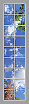 Ceiling Design 6eo_4x18md03