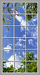 Ceiling Mural 6eo_6x12md01