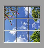 Ceiling Design 6eo_6x6md