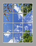Ceiling Mural 6eo_6x8md