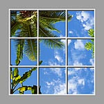 Ceiling Mural 6ew_6x6md