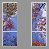Ceiling Design 6fe_2-2x6cr