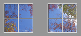 Ceiling Design 6fe_2-4x4cr