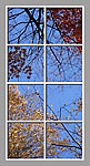 Ceiling Mural 6ip_4x8cr