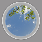 Ceiling Design 6ms_AP44