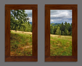 Photo Mural 6npL_2-22x40vr_rustic_walnut