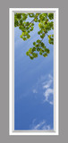 Ceiling Design 6tw_2x6md_r26