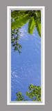 Ceiling Mural 6vf_2x6md01_r26