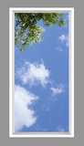 Ceiling Mural 6wcF_3x6md_r36