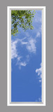 Ceiling Design 6wc_2x6md01_r26