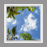 Ceiling Mural 8ckS_4x4_r44