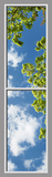 Ceiling Design 8cks_2x8