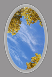 Ceiling Mural 8en_AP58