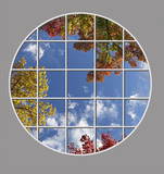 Ceiling Design 8fe_10ftcl