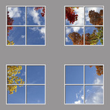 Ceiling Design 8fe_4-4x4md