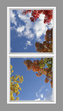 Ceiling Design 8fe_4x8md01_r44