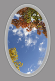Ceiling Design 8fe_5x8ftel_AP58