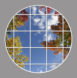 Ceiling Design 8fe_8ftcl