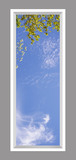 Ceiling Mural 8je_2x6md_r26