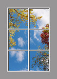 Ceiling Mural 8jnF_4x6md