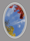 Ceiling Design 8oq_AP46