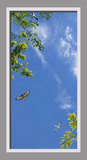 Ceiling Mural CST05144_01e